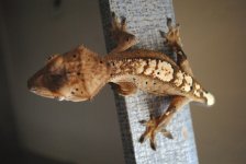 DSC_1840.jpg