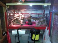 IMG_20111109_172509.jpg