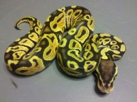 2011-12-31_21-16-28_203.jpg