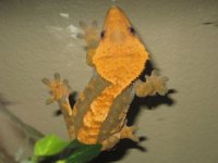 usb pics 082.jpg