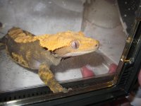usb pics 917.jpg