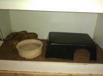 IMG_20120508_170246.jpg
