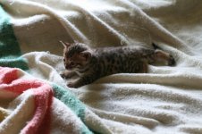 IMG_2818.jpg