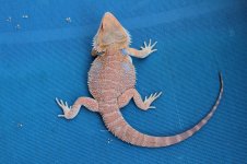 IMG_3876.JPG