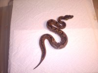 20120108184036.jpg