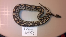 2012-04-29_18-57-34_531.jpg