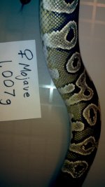2012-04-29_18-57-53_107.jpg