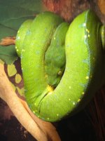 IMG_0093.jpg