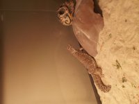 20120719_152301.jpg