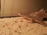 20120719_152208.jpg