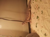 20120719_152225.jpg