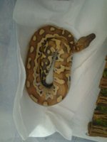 2012-06-05_23.44.58.jpg