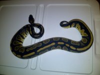 IMG-20120610-00032.jpg