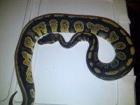 IMG-20120610-00030.jpg