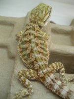 050812 JE1.JPG