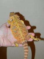 sale 2012 030.jpg