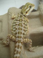 050812 JE2.JPG