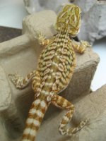 050812 JE3.JPG