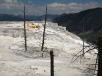 mammothsprings2.jpg
