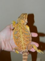 sale 2012 031.jpg