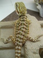 050812 JE4.JPG