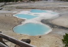 colloidpools.jpg