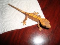 DSC01508.JPG