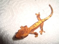 DSC01521.JPG