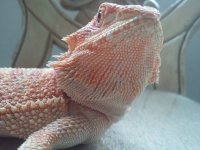2012-05-02 15.42.25.jpg