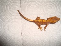 DSC01509.JPG