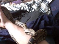 snake 3.jpg