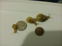 IMG_20120415_00432048256851.jpg