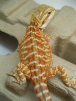 050812 ML13.JPG