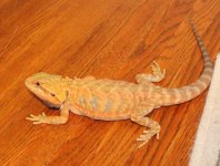 IMG_1415.jpg