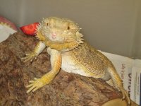 IMG_0573.jpg