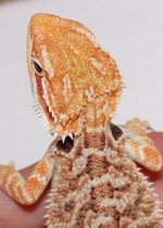 034male6.jpg