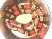 120618_0035.jpg