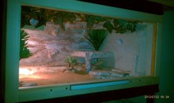 IMAG0910-1.jpg