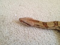 IMG_0896.jpg