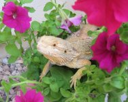 IMG_0582.jpg
