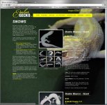 gecko-fraudweb.jpg