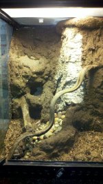 Terrarium-1.jpg