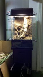 Terrarium-2.jpg