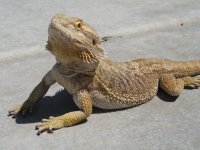 IMG_0580.jpg
