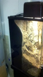 Terrarium-4.jpg