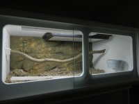 DSCN2114.jpg