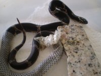 PC090008.JPG