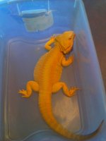 IMG_20120326_174937.jpg