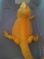 IMG_20120326_175731.jpg