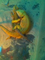IMG_20120403_205854.jpg